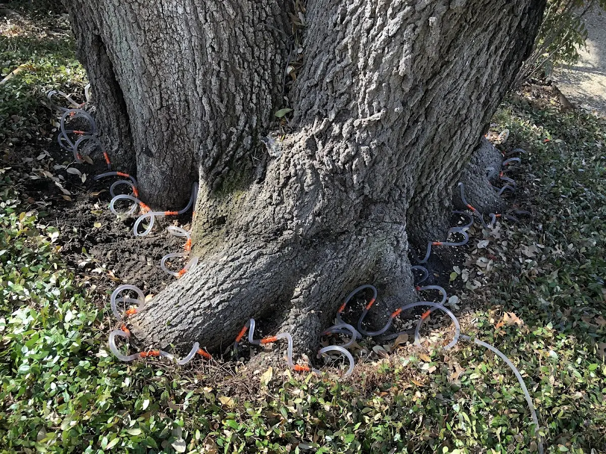 Detailed Shrub and Hedge Trimming job site in Andover